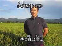 トキと育む農法(佐渡)(トキと暮らす郷づくり認証米)